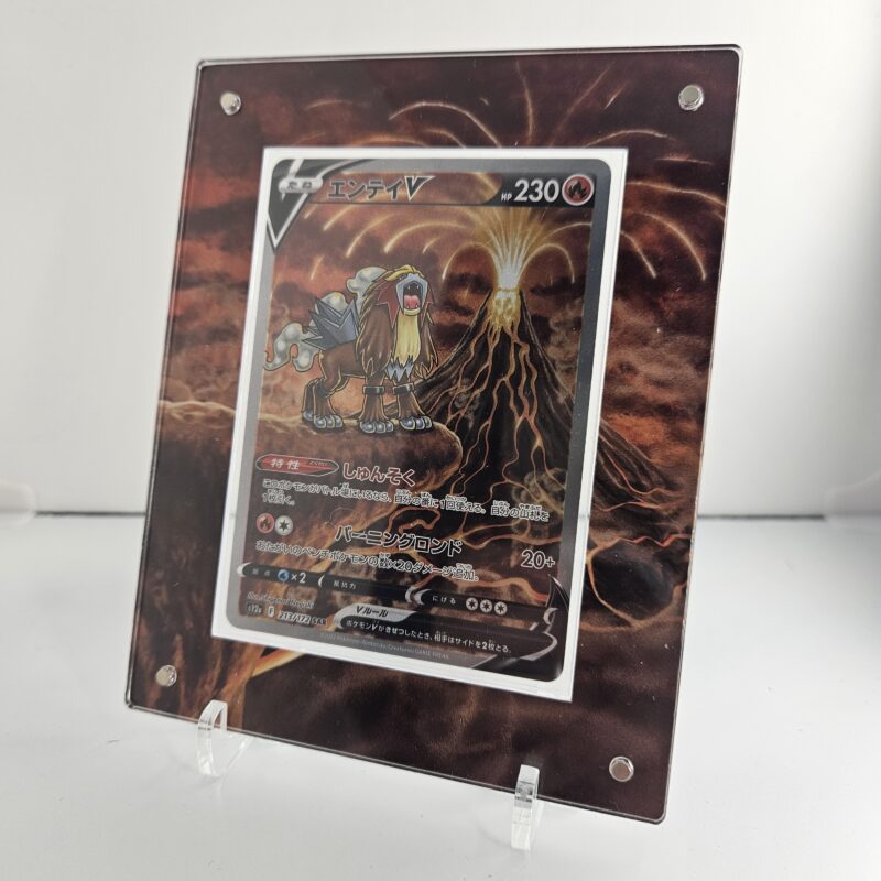 Protection Entei V Alternatif – Image 2