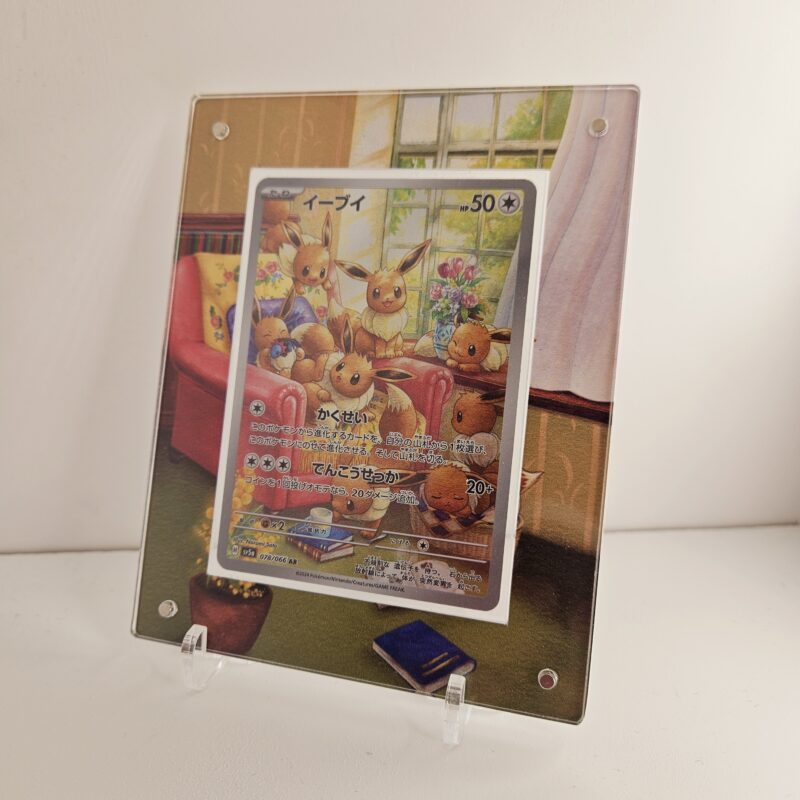Protection Evoli AR – Image 2
