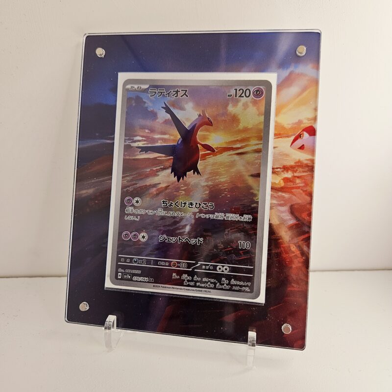Protection Latios AR – Image 2