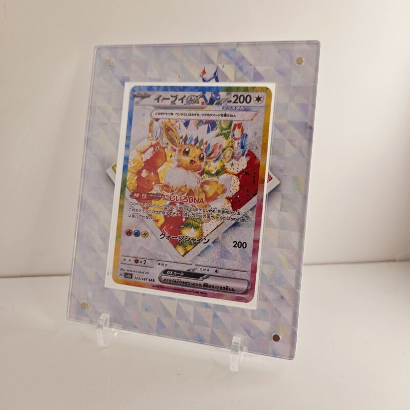 Protection Evoli Teracristal EX SAR – Image 2