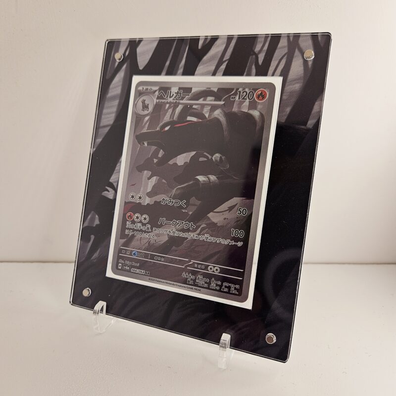 Protection Demolosse AR – Image 2