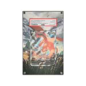 Protection Illustrée PSA Dracaufeu V EB9