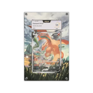 Protection Illustrée PCA Dracaufeu V EB9