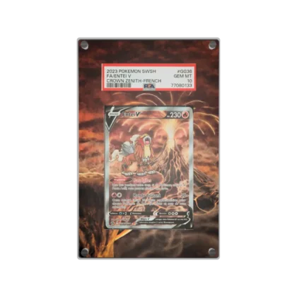 Protection Illustrée PSA Entei V