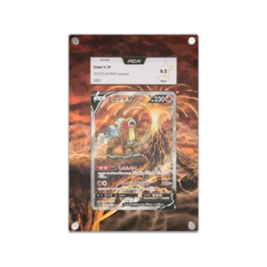 Protection Illustrée PCA Entei V