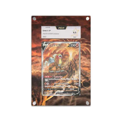 Protection Illustrée PCA Entei V