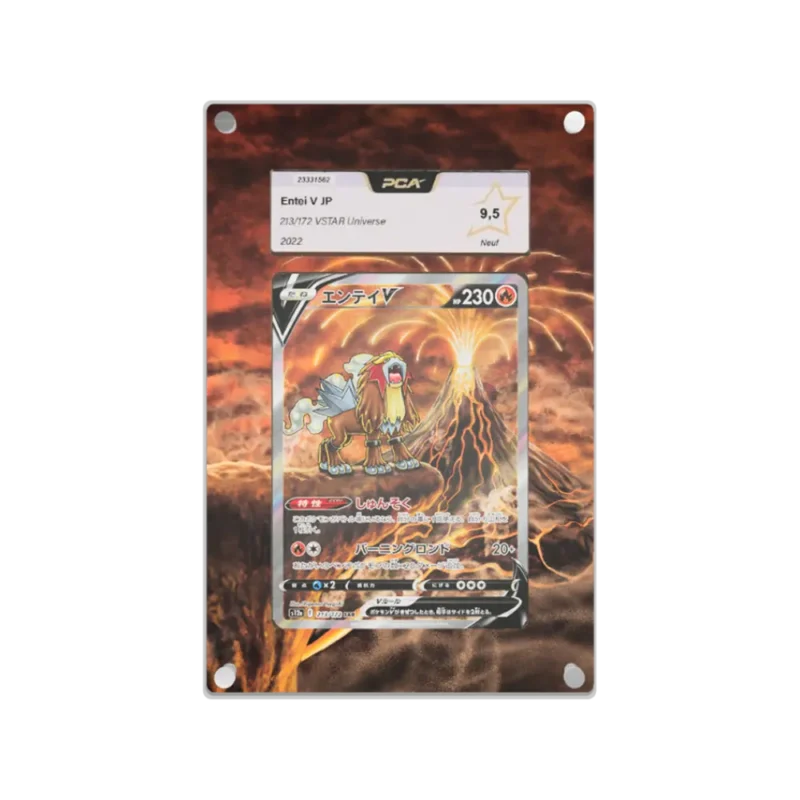 Protection Illustrée PCA Entei V