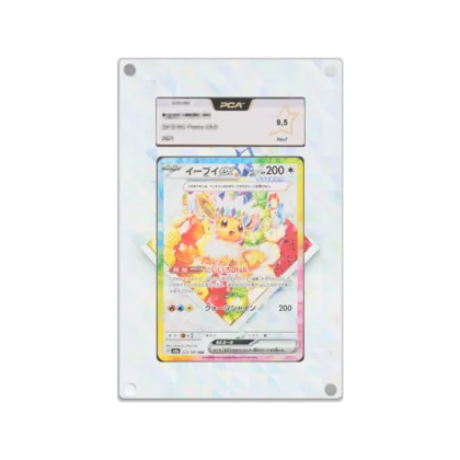 Protection Illustrée PCA Evoli ex SAR