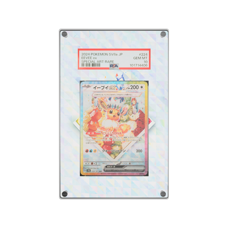 Protection Illustrée PSA Evoli ex SAR