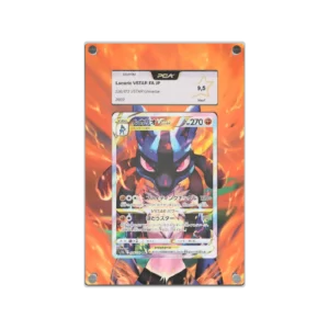 Protection Illustrée PCA Lucario VSTAR