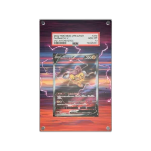 Protection Illustrée PSA Raikou V