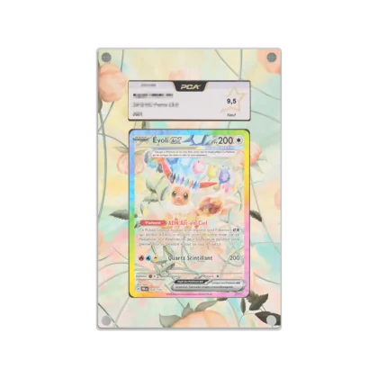 Protection Illustrée PCA Evoli ex EV8.5