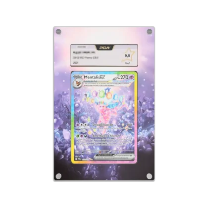 Protection Illustrée PCA Mentali ex EV8.5