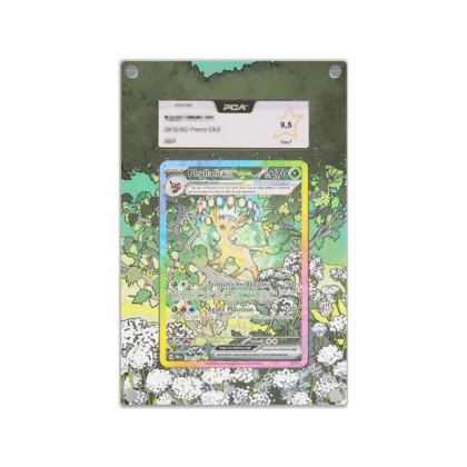 Protection Illustrée PCA Phylali ex EV8.5