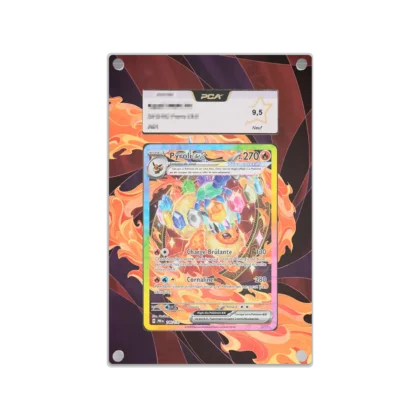 Protection Illustrée PCA Pyroli ex EV8.5