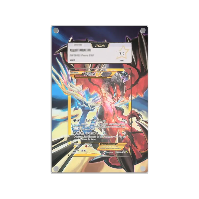 Protection Illustrée PCA Yveltal EX Promo XY