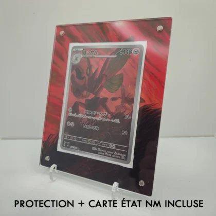 Protection illustrée + Carte Cizayox AR sv3