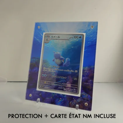 Protection Illustrée + Carte Carabaffe AR sv2a