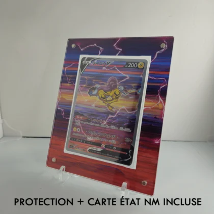 Protection illustrée + Carte Raikou V SAR