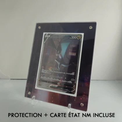 Protection Illustrée + Carte Bruyverne V SR s7d (Copy)
