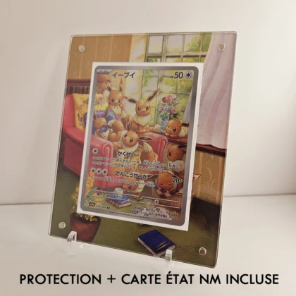 Protection Illustrée + Carte Evoli AR sv5a