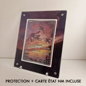 Protection Illustrée + Carte Crefollet AR sv8