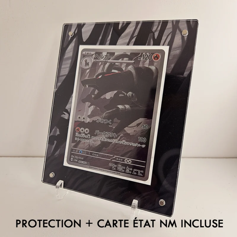 Protection Illustrée + Carte Demolosse AR sv6a