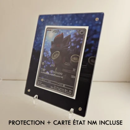 Protection Illustrée + Carte Zorua AR sv6a (Copy)