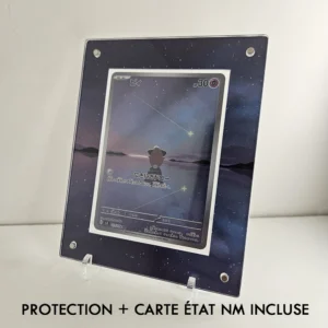 Protection Illustrée + Carte Melo AR sv3