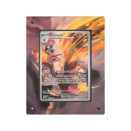 Protection Braségali AR