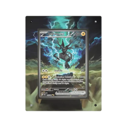 Protection Zekrom ex SAR