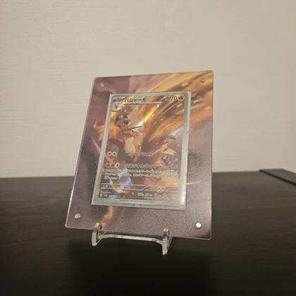 Protection Illustrée + Carte Braségali AR sv10