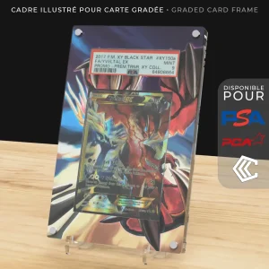 Protection Illustrée Carte Gradée PSA/PCA/CCC - Yveltal EX Promo 	XY150a