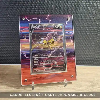 Protection illustrée + Carte Raikou V SAR