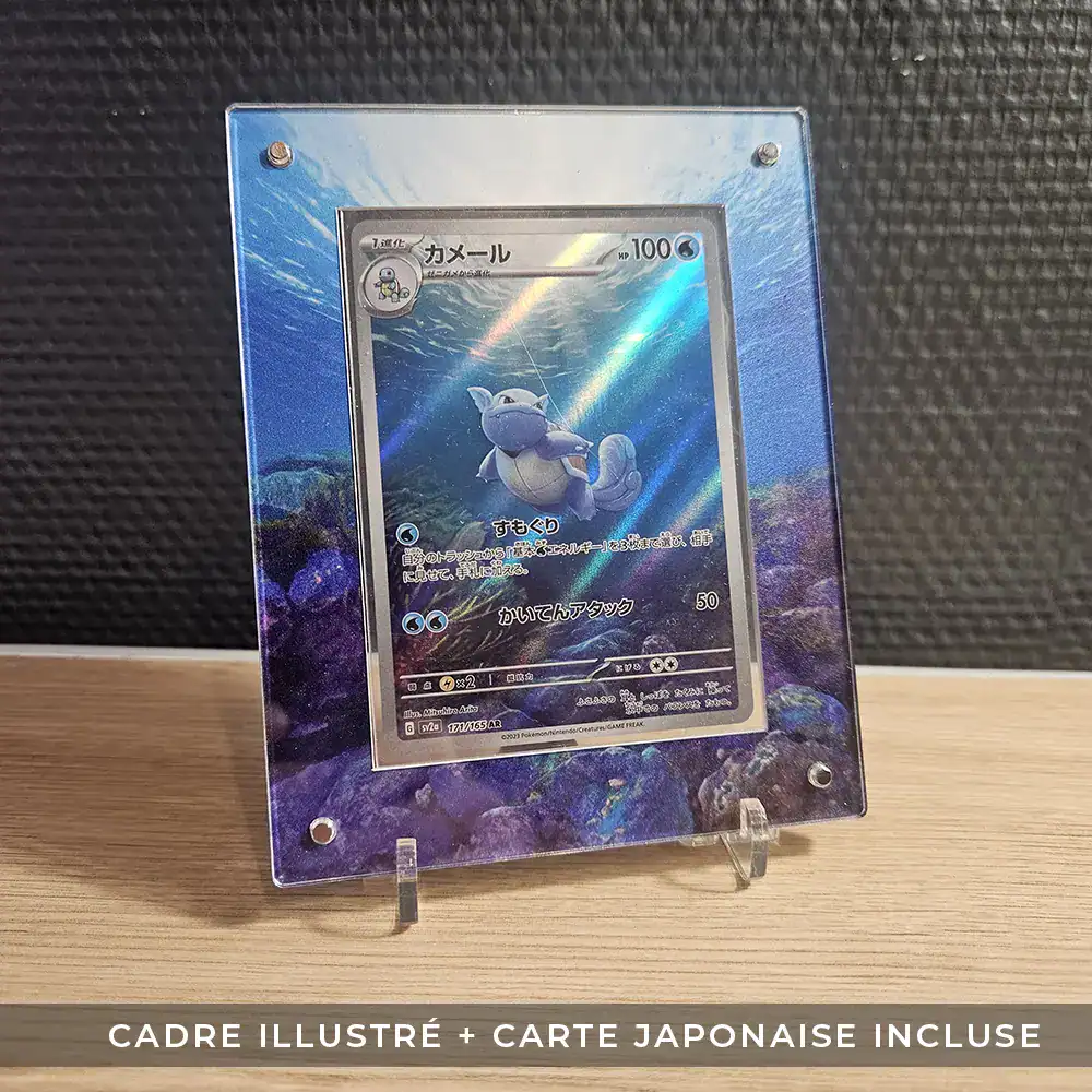 Protection Illustrée + Carte Carabaffe AR sv2a