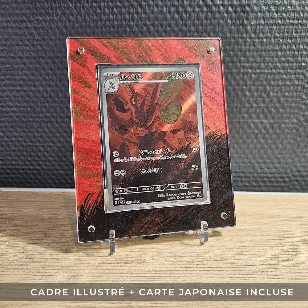 Protection illustrée + Carte Cizayox AR sv3