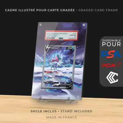 Protection Illustrée Carte Gradée PSA/PCA/CCC - Suicune V GG38/GG70 EB12.5