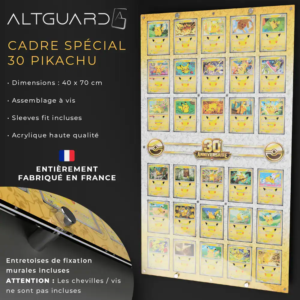 Cadres Illustré Grand Format - Collection 30 Pikachu des 30 ans