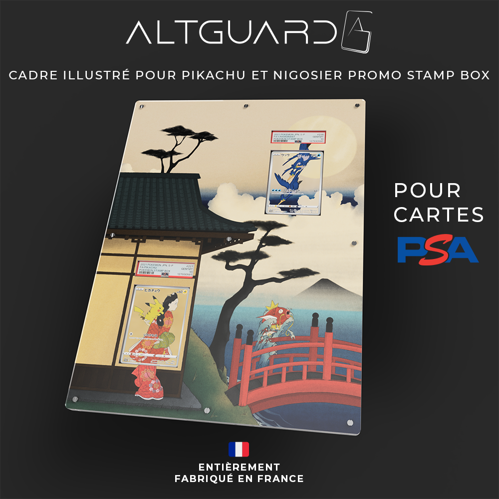 Cadres Illustré Grand Format - Cartes Pikachu et Nigosier Promo Japan Post Stamp Box PSA